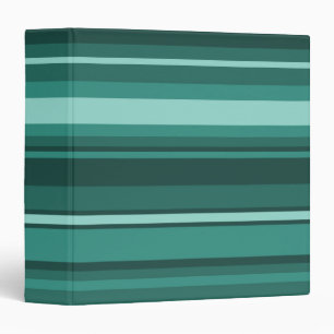 Teal stripes binder