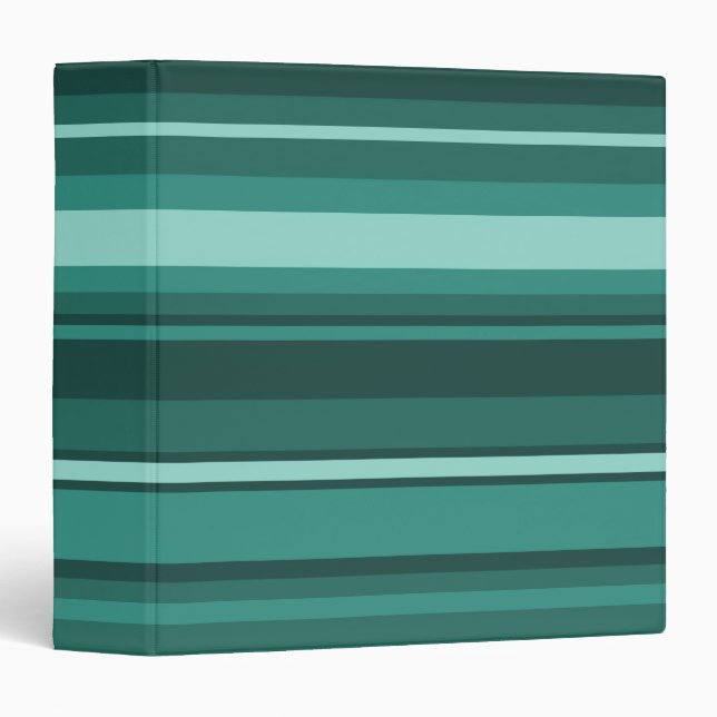 Teal stripes binder (Front/Spine)