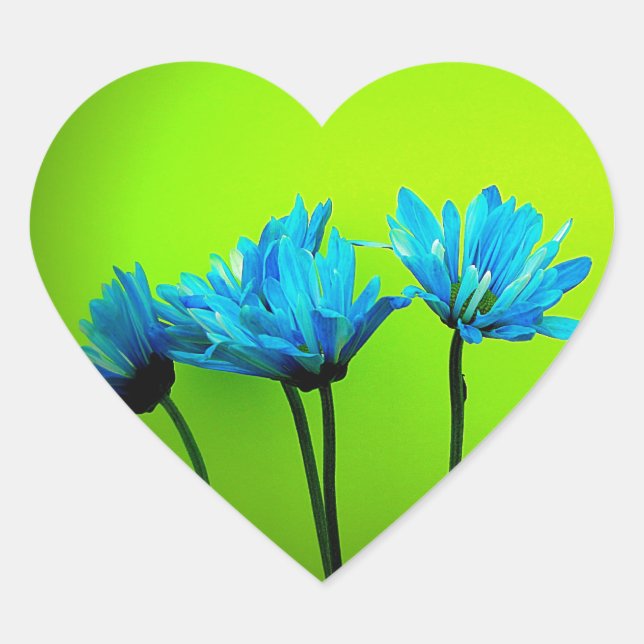 Teal Turquoise Daisies on Lime Green Flowers Gifts Heart Sticker (Front)