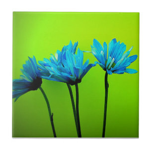 Teal Turquoise Daisies on Lime Green Flowers Gifts Tile