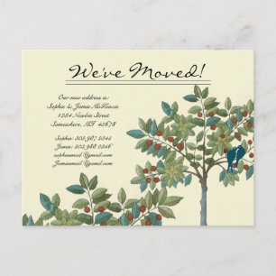 Teal Vintage Birds We Have Moved Announcement Postcard
