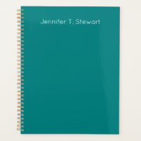 Teal & White Professional Elegant Simple