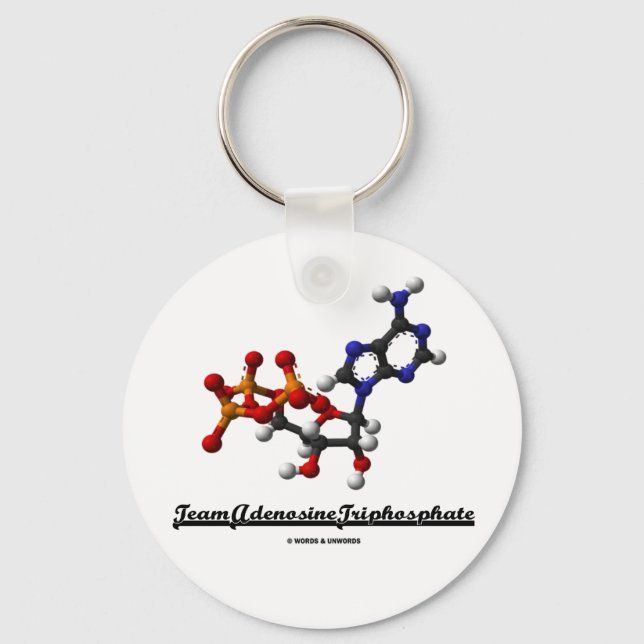 Team Adenosine Triphosphate (ATP) Keychain (Front)