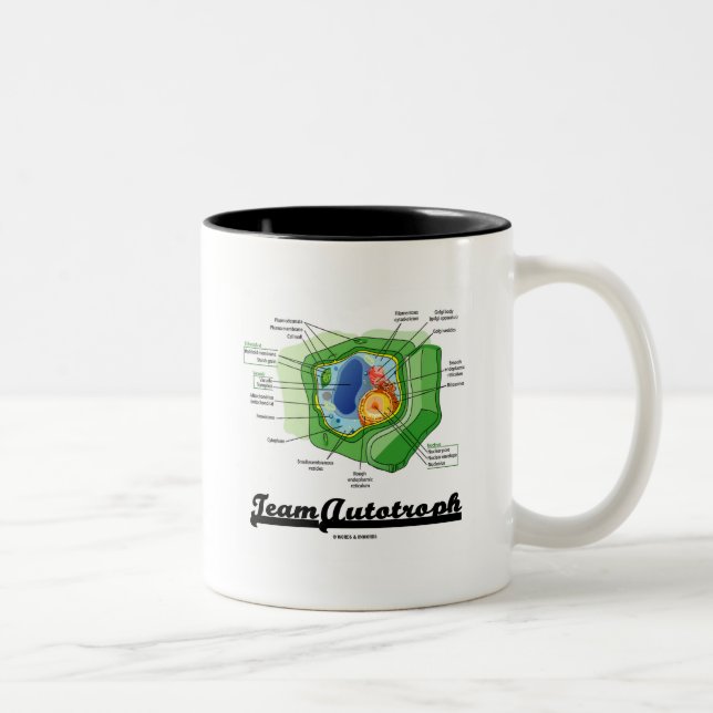 Team Autotroph (Plant Cell Biology) Two-Tone Coffee Mug (Right)