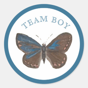 Team Baby Boy Elegant Butterfly Gender Reveal Classic Round Sticker