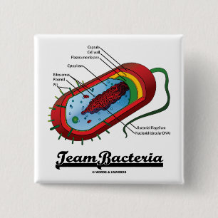 Team Bacteria (Prokaryote) 2 Inch Square Button