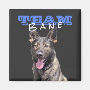 Team Bane Magnet (square)