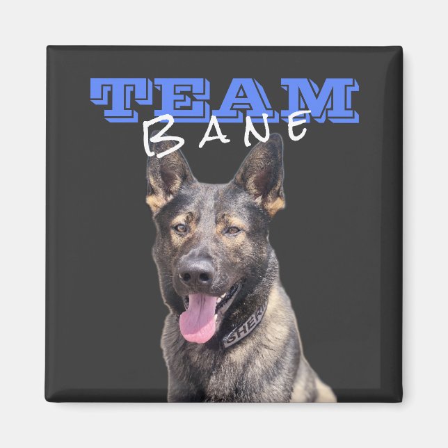 Team Bane Magnet (square) (Front)