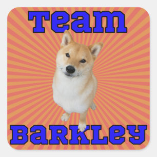 Team Barkley - Square Stickers, Glossy Sticker