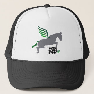 Team Barry Hat