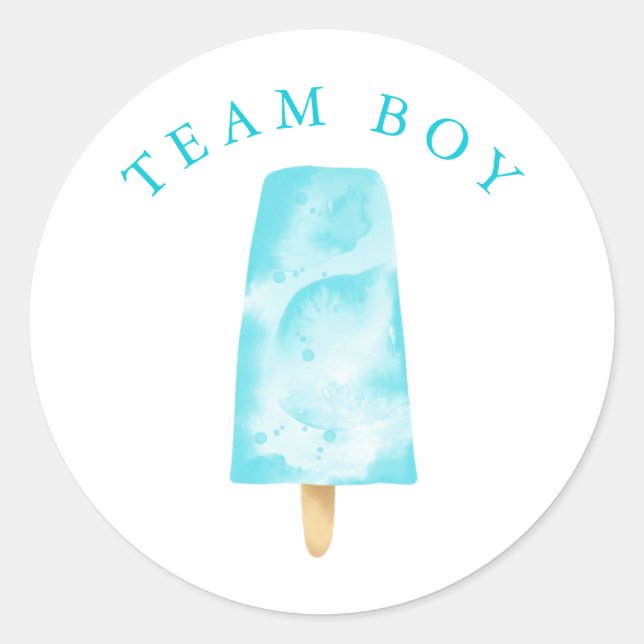 Team Boy Gender Reveal Party Vote Classic Round Sticker (Front)