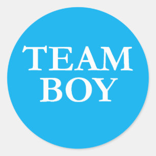 Team Boy  Gender Reveal Stickers