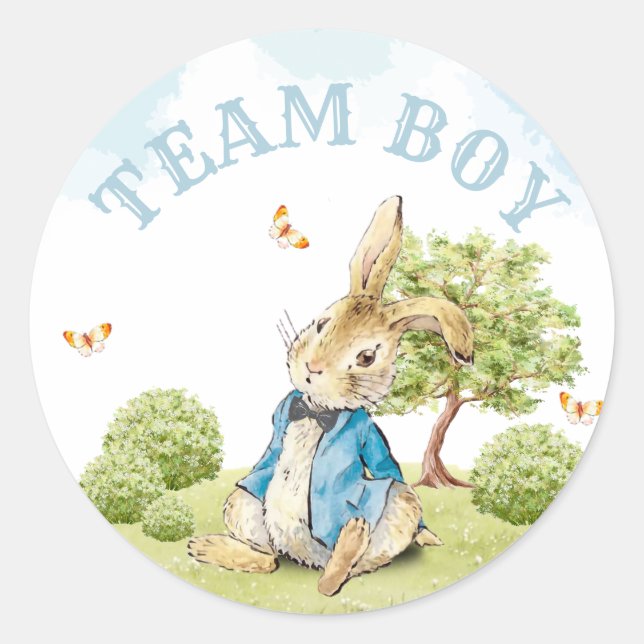 Team Boy Gender Reveal Vote Peter The Rabbit Classic Round Sticker (Front)