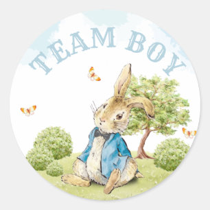 Team Boy Gender Reveal Vote Peter The Rabbit Classic Round Sticker