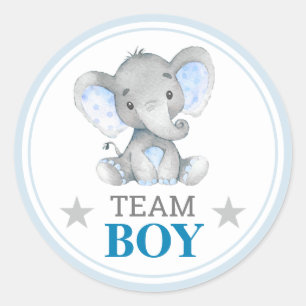 Team Boy I Vote Gender Reveal Baby Shower Sprinkle Classic Round Sticker