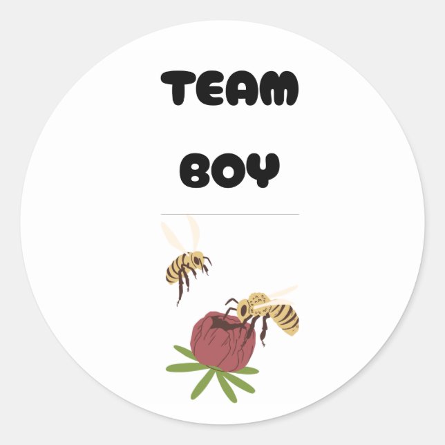 Team Boy Vote gender reveal party Classic Round Sticker (Front)