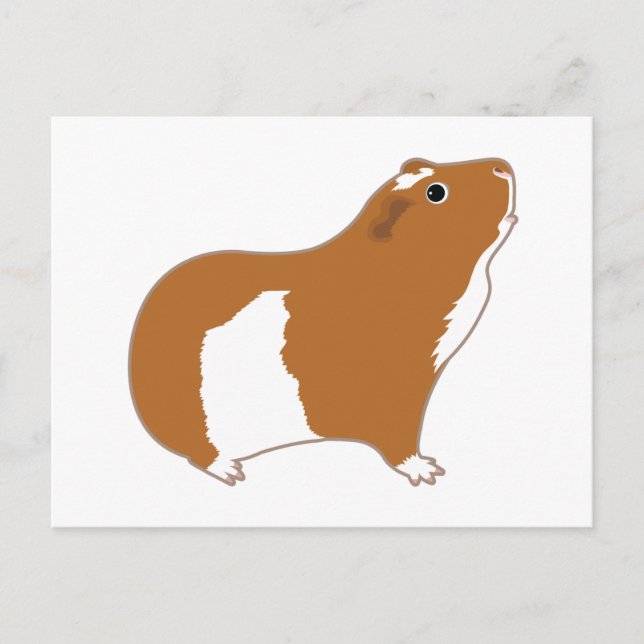 TEAM CAVY POSTCARD (Front)