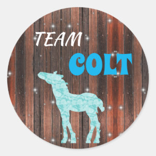 "Team Colt" Colt Gender Reveal Classic Round Sticker