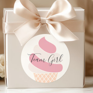 Team Girl Ice Cream Pastel Colour Gender Reveal Classic Round Sticker