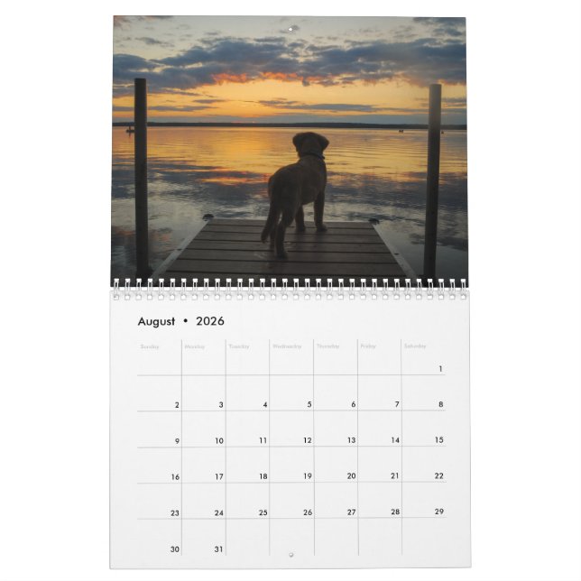 Team Joey Jax 2016 Calendar (Aug 2026)