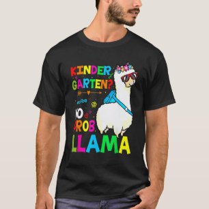 Team Kindergarten Teacher Rainbow No Prob Llama Gi T-Shirt