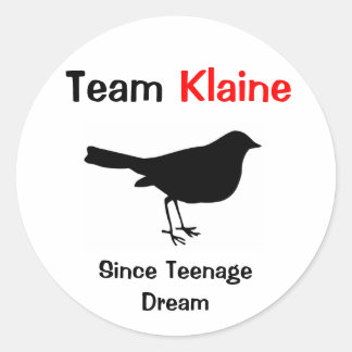 Team Klaine Classic Round Sticker