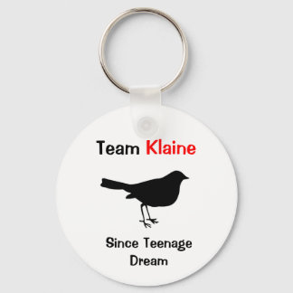 Team Klaine Keychain