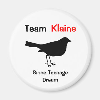Team Klaine Magnet