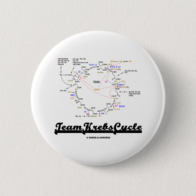 Team Krebs Cycle (Citric Acid Cycle - TCAC) 2 Inch Round Button (Front)