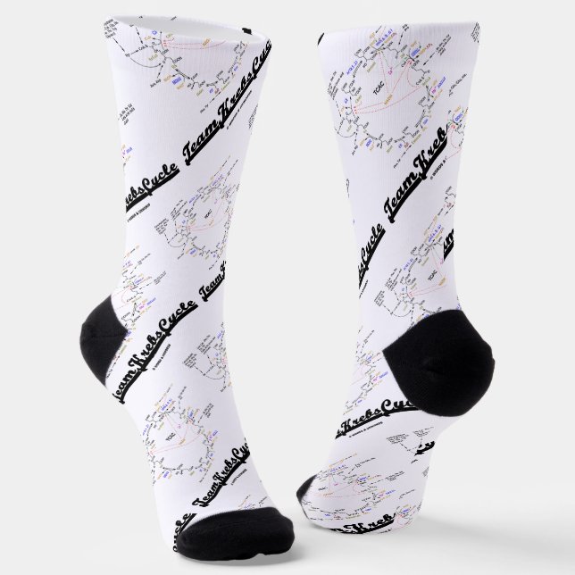 Team Krebs Cycle Citric Acid Cycle TCAC Socks (Angled)