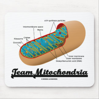 Team Mitochondria Mitochondrion Humour Mouse Pad