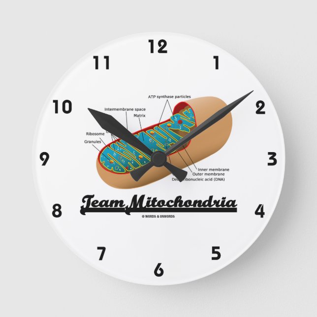 Team Mitochondria (Mitochondrion Humour) Round Clock (Front)