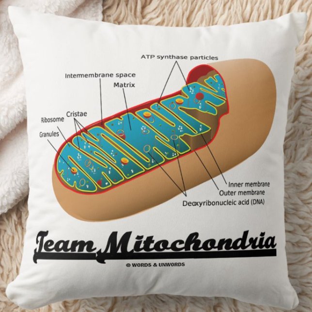 Team Mitochondria (Mitochondrion Humour) Throw Pillow (Team Mitochondria throw pillow for any exerciser who knows that mitochondria power ourselves!)