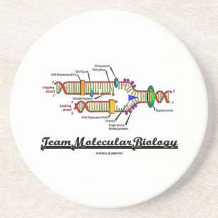 Team Molecular Biology (DNA Replication) Coaster