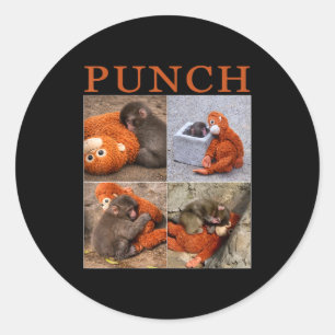 Team monkey punch Team monkey punch  Classic Round Sticker