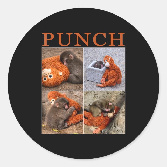 Team monkey punch Team monkey punch  Classic Round Sticker (Front)