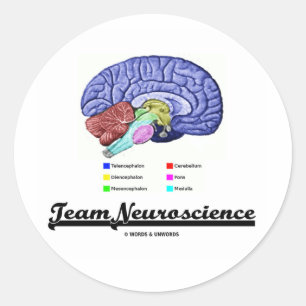 Team Neuroscience (Brain Anatomy Attitude) Classic Round Sticker
