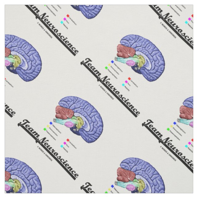 Team Neuroscience Brain Anatomy Attitude Fabric (Swatch)
