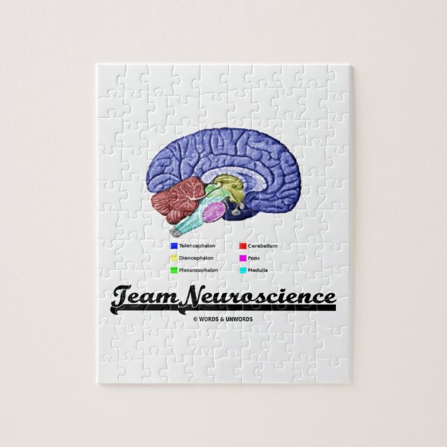Team Neuroscience (Brain Anatomy Attitude) Jigsaw Puzzle (Vertical)