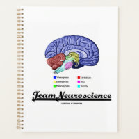Team Neuroscience Brain Anatomy Attitude