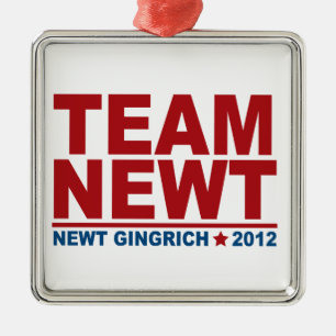 Team Newt Gingrich 2012 Metal Ornament