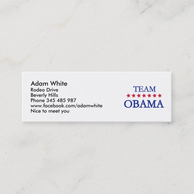Team Obama 2012 Mini Business Card (Front)