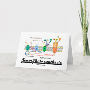 Team Photosynthesis (Light-Dependent Reactions) Card