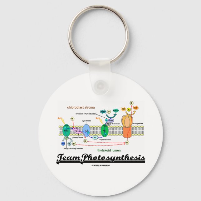 Team Photosynthesis (Light-Dependent Reactions) Keychain (Front)
