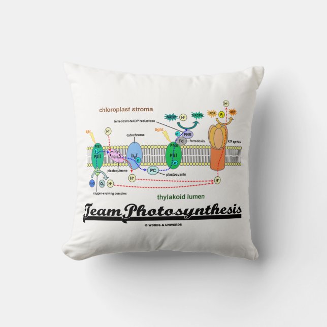 Team Photosynthesis Light-Dependent Reactions Throw Pillow (Front)