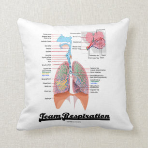 Team Respiration (Respiratory System) Throw Pillow