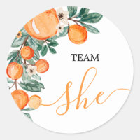 TEAM She Gender Reveal Citrus Orange Game Labels