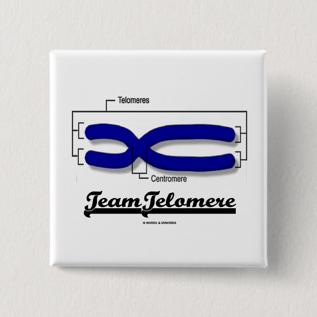 Team Telomere (Biology Humour) 2 Inch Square Button (Front)