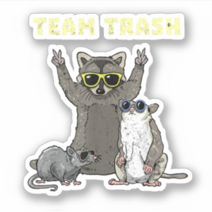 Team Trash Opossum Raccoon Rat, Funny Animals Garb