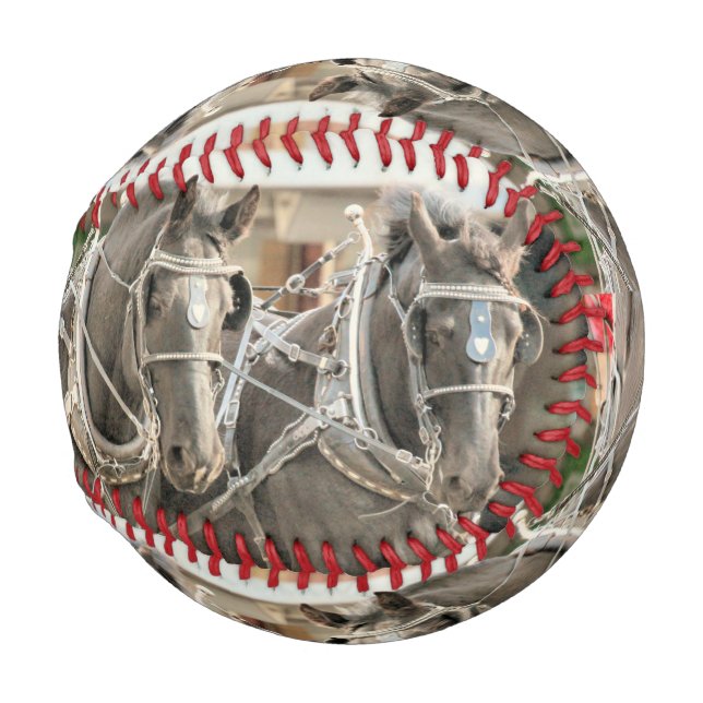 Team Work Baseball (Back Left)